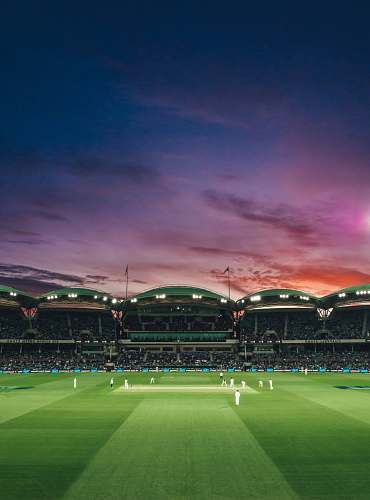 australia people watching game of cricket during sunset team